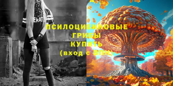 ALPHA PVP Богородск