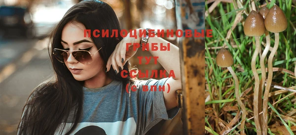 амф Богданович