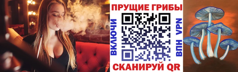 это Telegram  Верея  Псилоцибиновые грибы GOLDEN TEACHER  хочу наркоту 