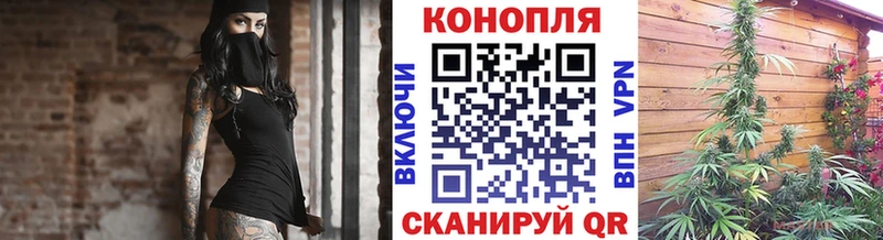 Канабис план Верея